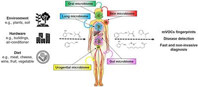 Volatilomes of Bacterial Infections in Humans